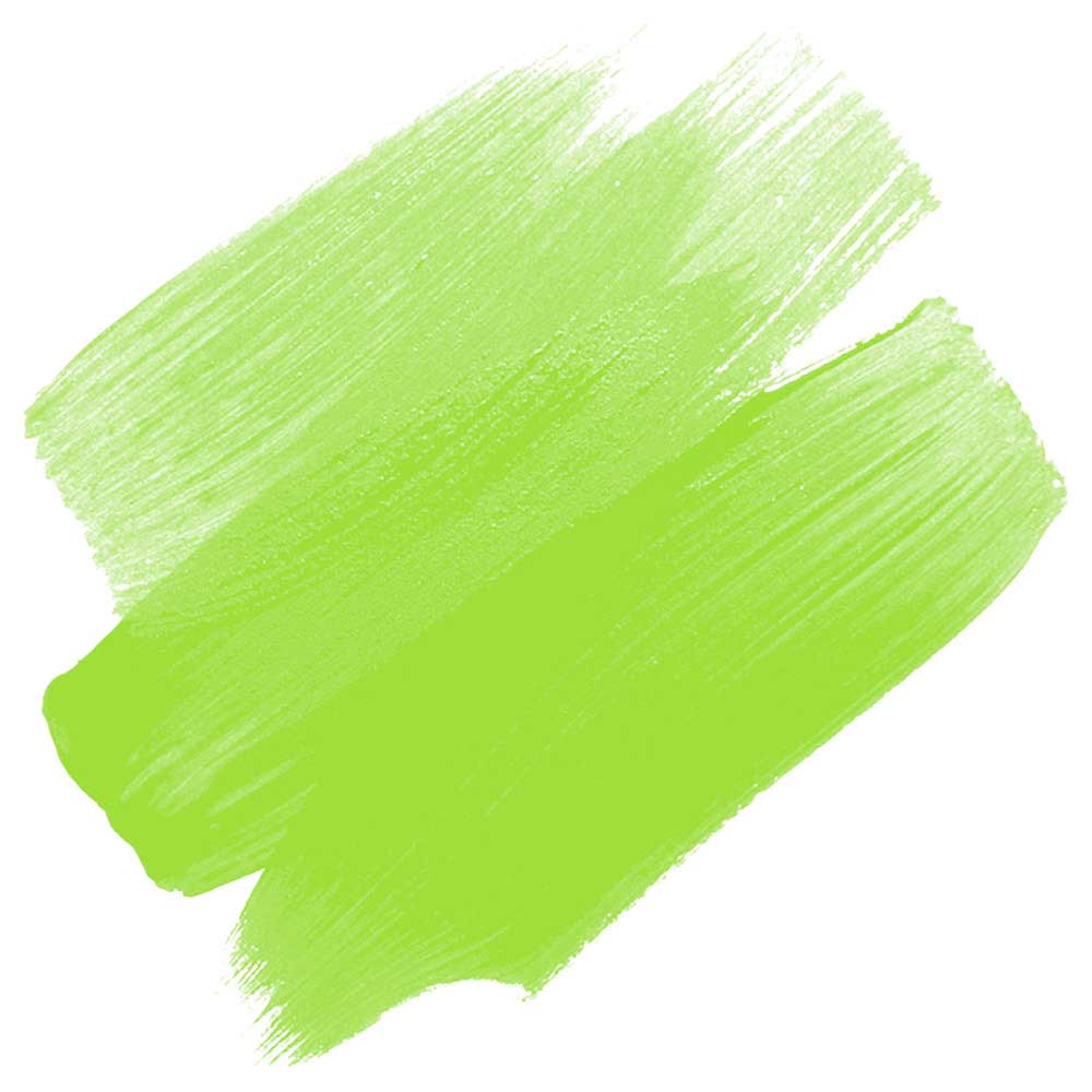Daler Rowney FW Acrylic Artist Ink 29.5ml Light Green 348
