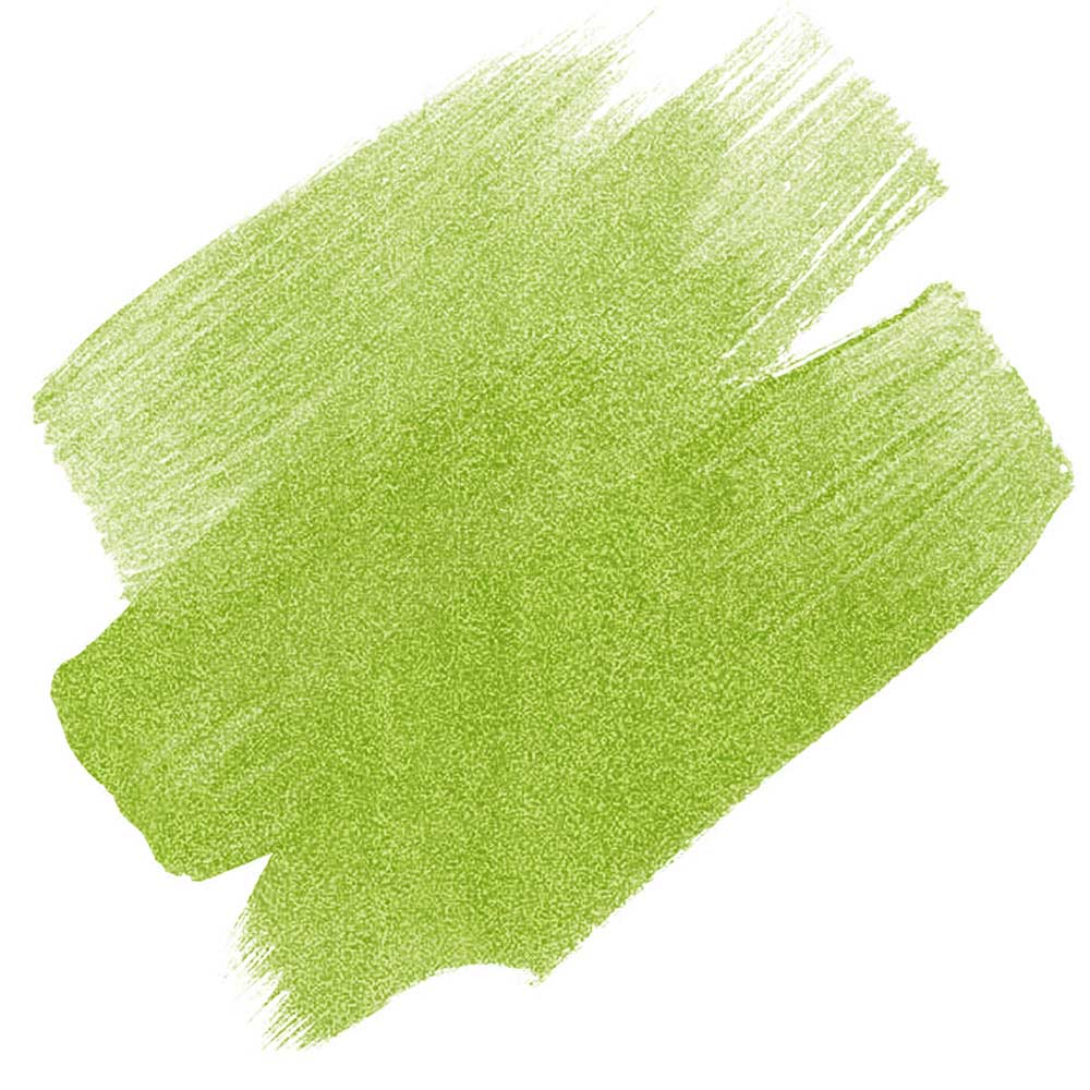 Daler Rowney FW Pearlescent Acrylic Inks 29.5ml Genesis Green 128