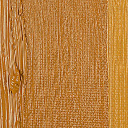 Talens Rembrandt Yağlı Boya 40ml Gold Ochre 231 S.1