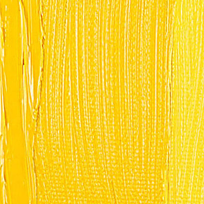 Talens Rembrandt Yağlı Boya 40ml Cadmium Yellow Medium 271 S.4