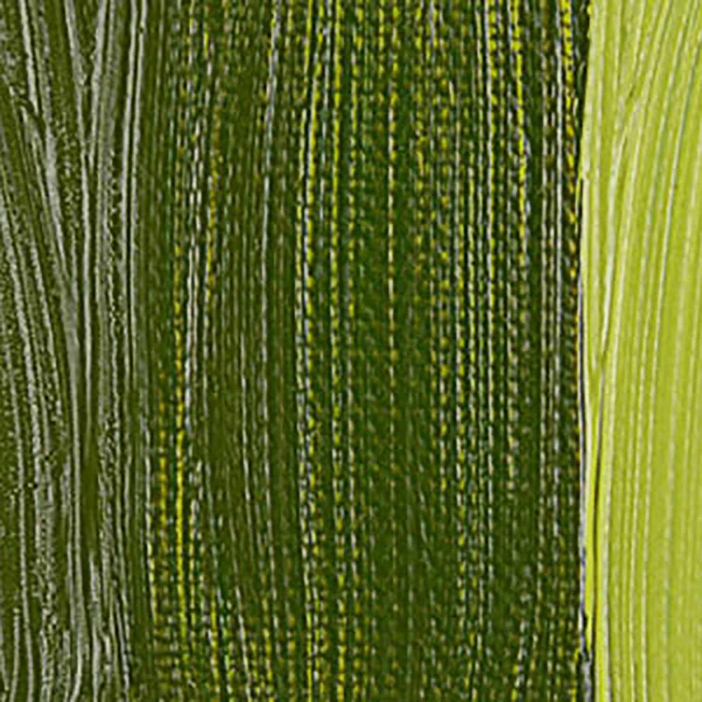 Talens Rembrandt Yağlı Boya 40ml Transparent Yellow Green 281 S.3