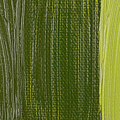 Talens Rembrandt Yağlı Boya 40ml Transparent Yellow Green 281 S.3