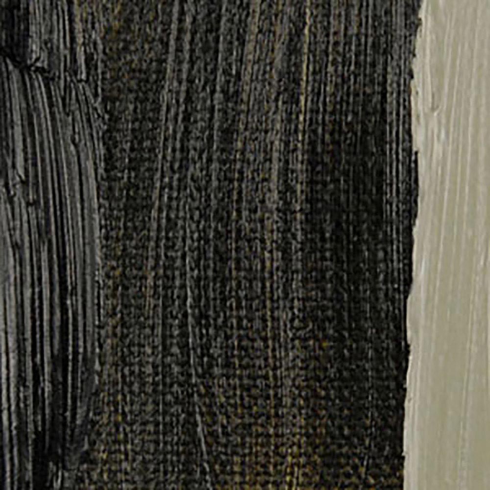 Talens Rembrandt Yağlı Boya 40ml Greenish Umber 410 S.1