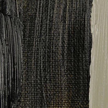 Talens Rembrandt Yağlı Boya 40ml Greenish Umber 410 S.1