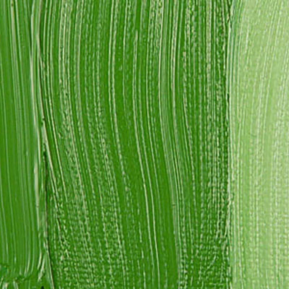 Talens Rembrandt Yağlı Boya 40ml Cinnabar Green Medium 625 S.2