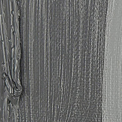 Talens Rembrandt Yağlı Boya 40ml Cold Grey 717 S.1