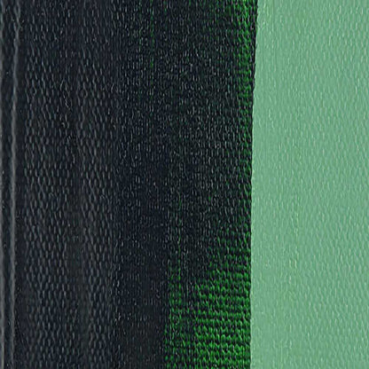 Talens Amsterdam Acrylic 500ml Sap Green 623