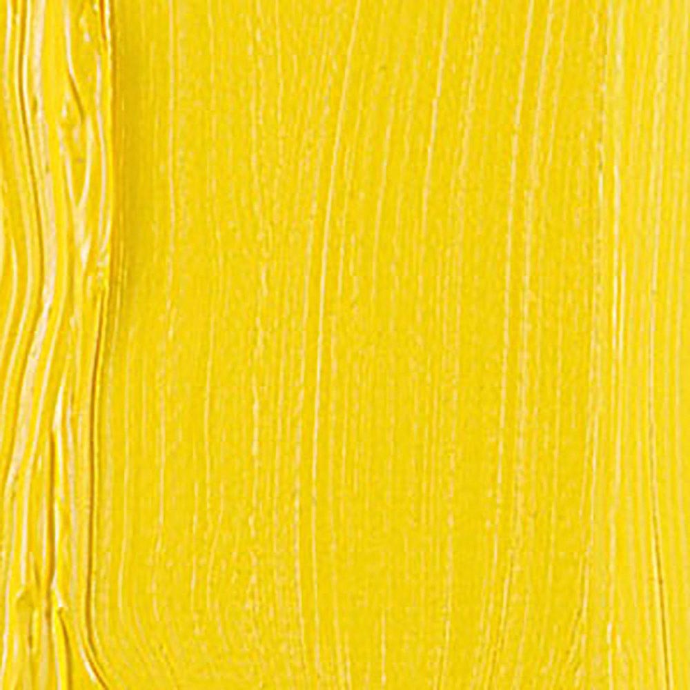 Talens Van Gogh Yağlı Boya 40ml Cadmium Yellow Light 208 S.2