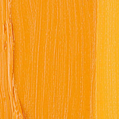 Talens Van Gogh Yağlı Boya 40ml Cadmium Yellow Deep 210 S.2