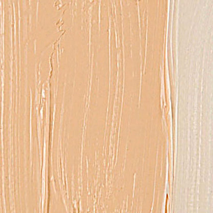 Talens Van Gogh Yağlı Boya 40ml Naples Yellow Red 224 S.1