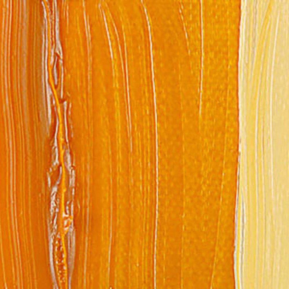Talens Van Gogh Yağlı Boya 40ml Indian Yellow 244 S.2