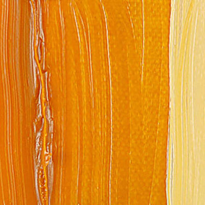 Talens Van Gogh Yağlı Boya 40ml Indian Yellow 244 S.2