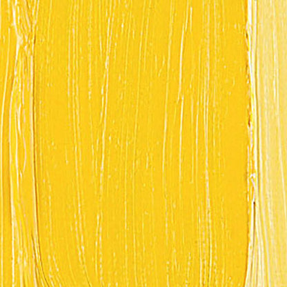 Talens Van Gogh Yağlı Boya 40ml Azo Yellow Medium 269 S.1