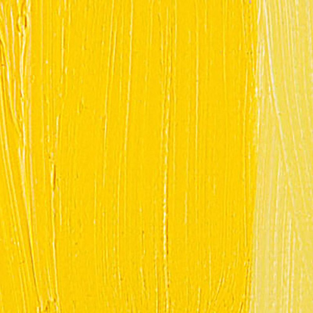 Talens Van Gogh Yağlı Boya 40ml Cadmium Yellow Medium 271 S.2