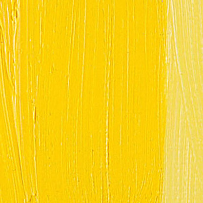 Talens Van Gogh Yağlı Boya 40ml Cadmium Yellow Medium 271 S.2