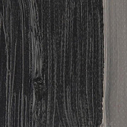 Talens Van Gogh Yağlı Boya 40ml Vandyke Brown 403 S.1