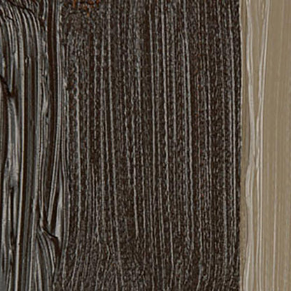 Talens Van Gogh Yağlı Boya 40ml Raw Umber 408 S.1