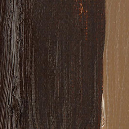 Talens Van Gogh Yağlı Boya 40ml Burnt Umber 409 S.1