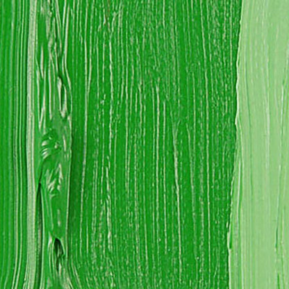 Talens Van Gogh Yağlı Boya 40ml Permanent Green Medium 614 S.1