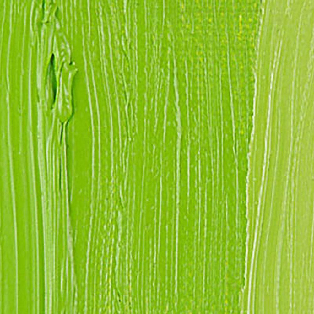 Talens Van Gogh Yağlı Boya 40ml Yellowish Green 617 S.1
