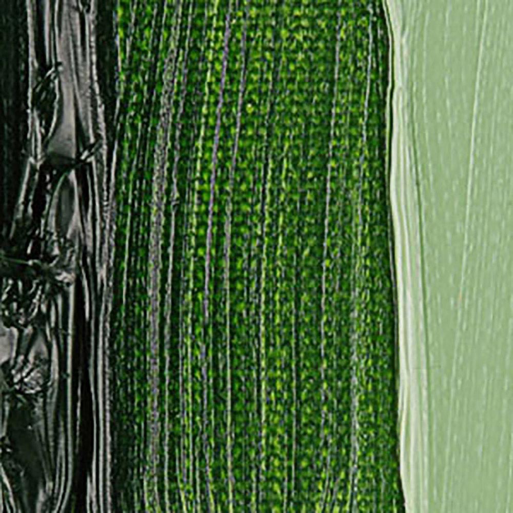 Talens Van Gogh Yağlı Boya 40ml Sap Green 623 S.1