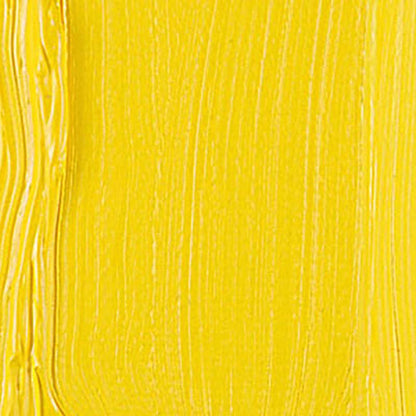 Talens Van Gogh Yağlı Boya 200ml Cadmium Yellow Light 208 S.2