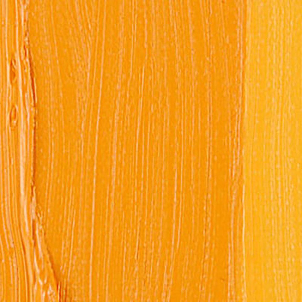 Talens Van Gogh Yağlı Boya 200ml Cadmium Yellow Deep 210 S.2