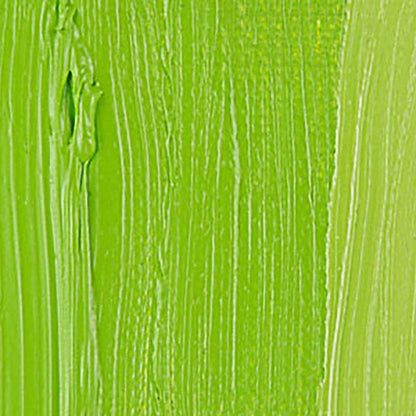 Talens Van Gogh Yağlı Boya 200ml Yellowish Green 617 S.1