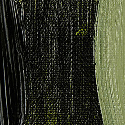 Talens Van Gogh Yağlı Boya 200ml Olive Green 620 S.2