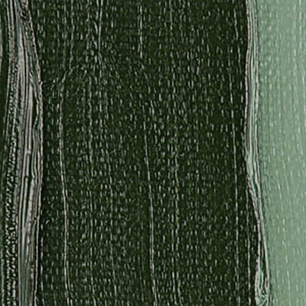 Talens Van Gogh Yağlı Boya 200ml Green Earth (Terre Verte) 629 S.1