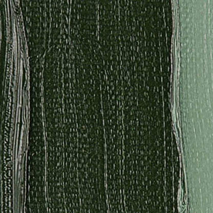 Talens Van Gogh Yağlı Boya 200ml Green Earth (Terre Verte) 629 S.1