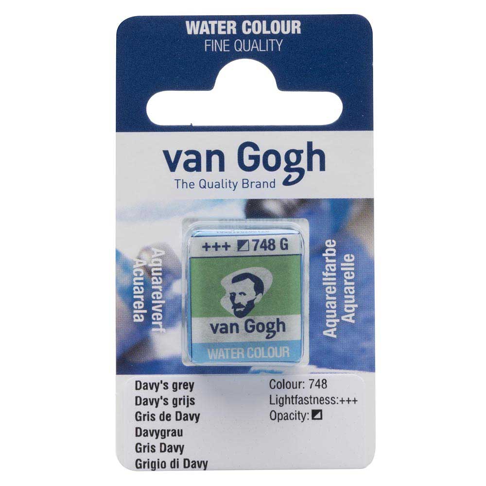 Van Gogh Water Colour Davy's Grey 748 (Yarım Tablet)