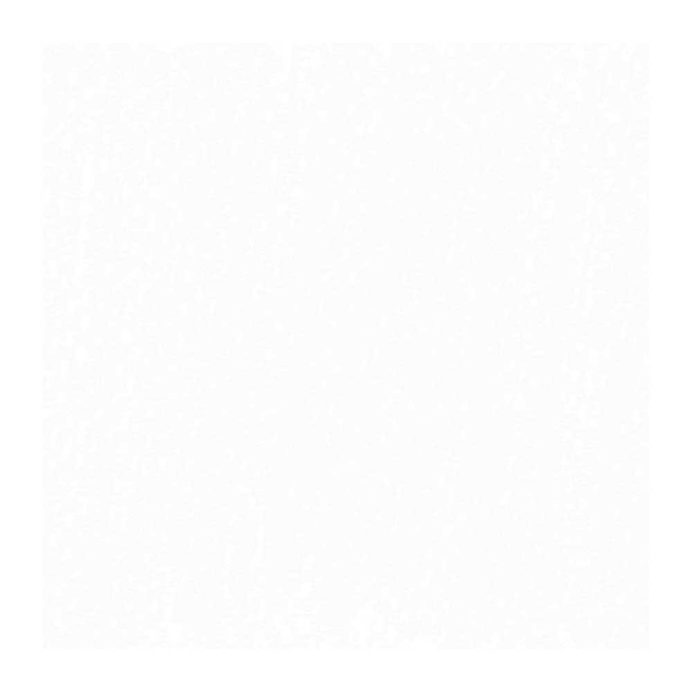 Rembrandt Soft Pastel White 100.5