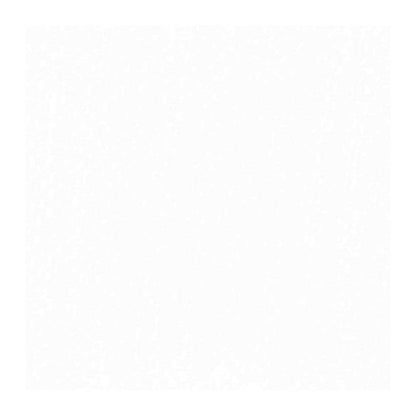 Rembrandt Soft Pastel White 100.5