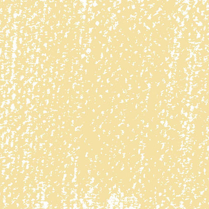 Rembrandt Soft Pastel Deep Yellow 202.9
