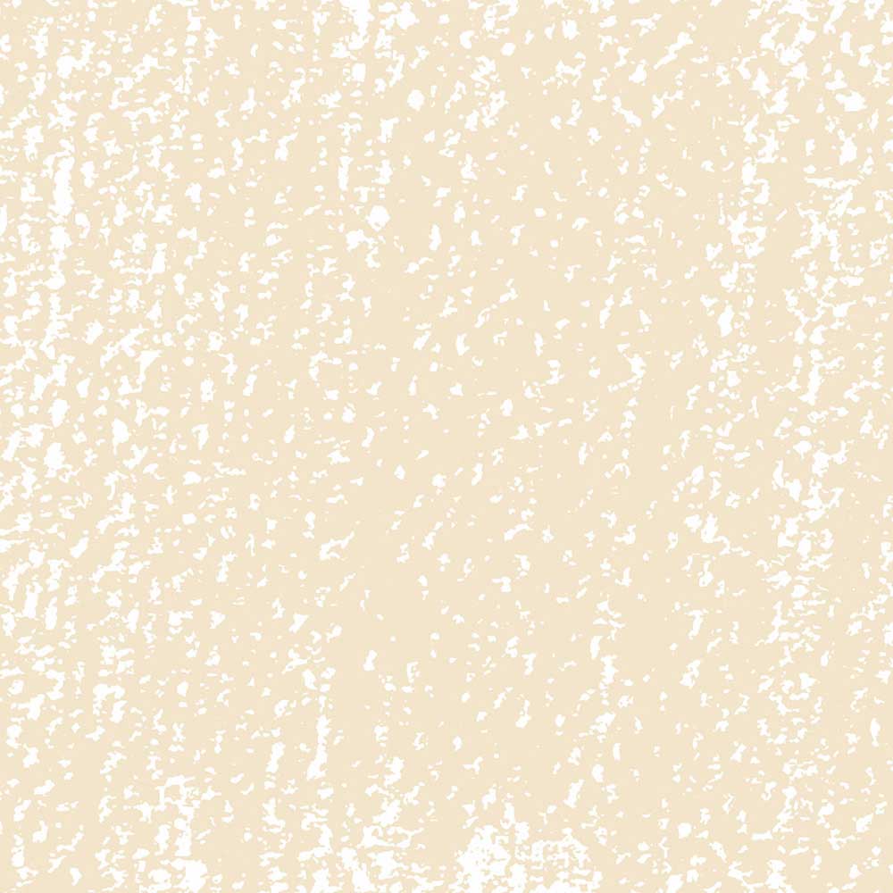 Rembrandt Soft Pastel Yellow Ochre 227.9