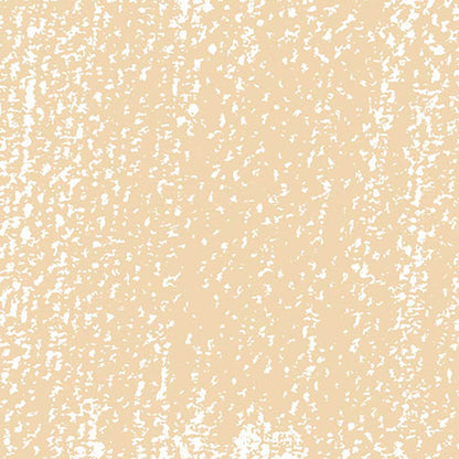 Rembrandt Soft Pastel Gold Ochre 231.9