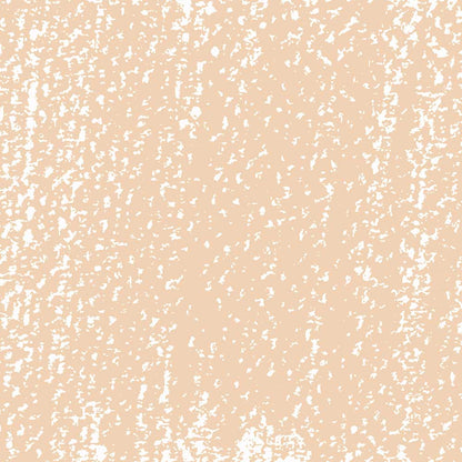 Rembrandt Soft Pastel Raw Sienna 234.10