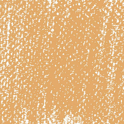 Rembrandt Soft Pastel Raw Sienna 234.8