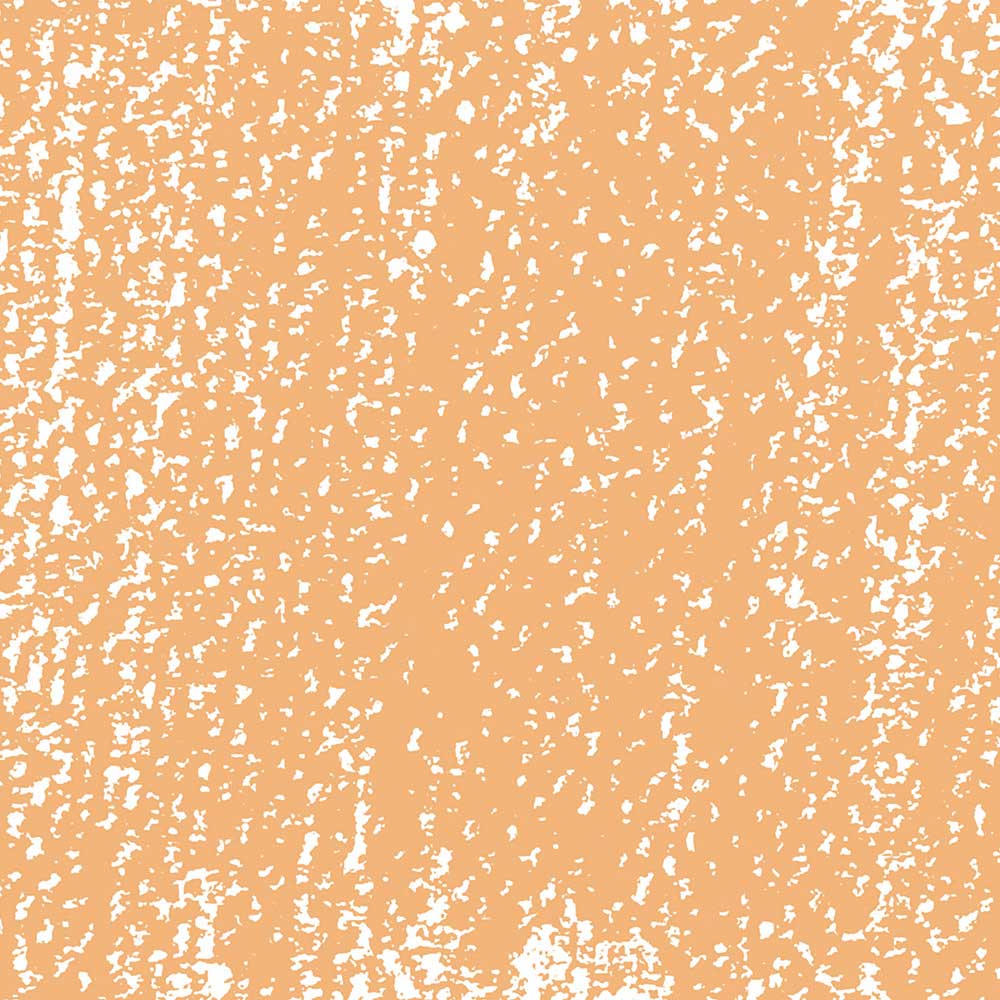 Rembrandt Soft Pastel Light Orange 236.8