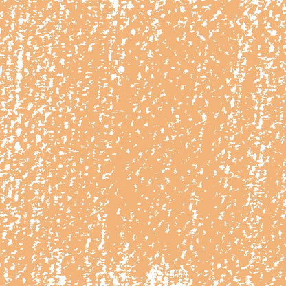 Rembrandt Soft Pastel Light Orange 236.8