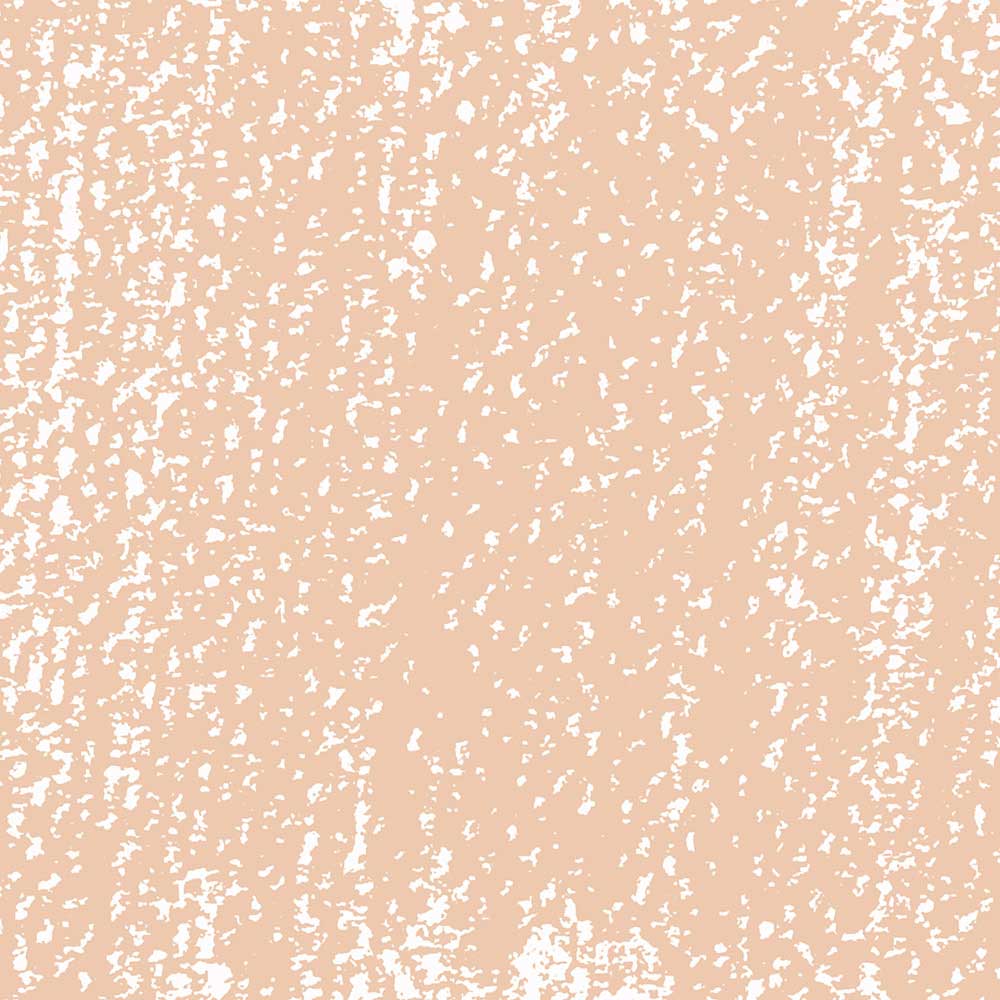 Rembrandt Soft Pastel Light Oxide Red 339.7