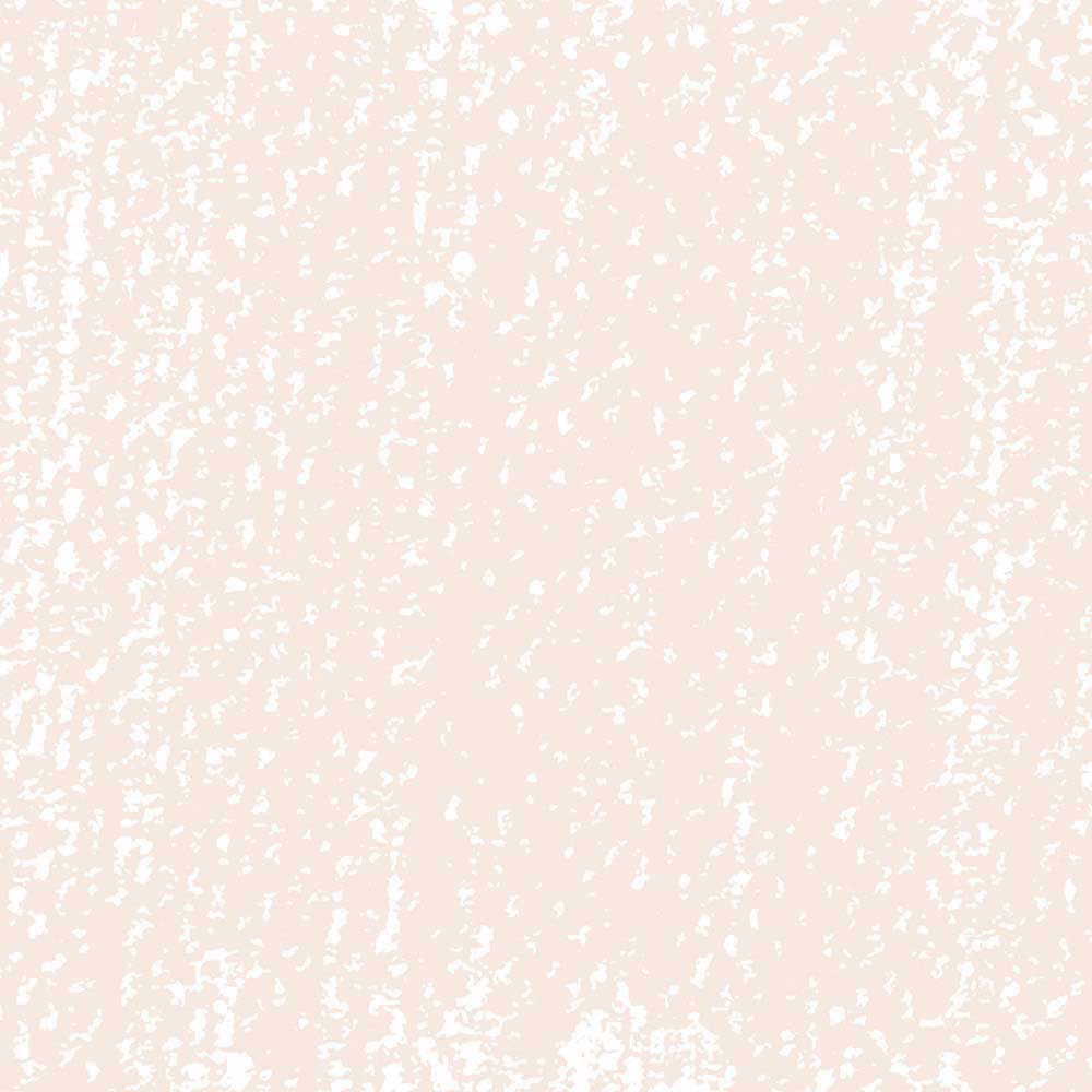 Rembrandt Soft Pastel Light Oxide Red 339.9