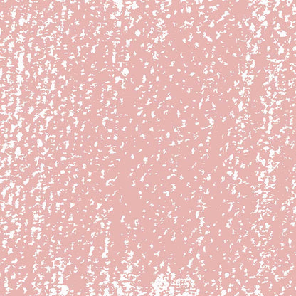 Rembrandt Soft Pastel Caput Mortuum Red 343.8