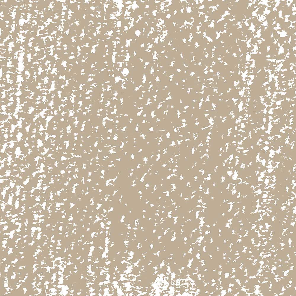 Rembrandt Soft Pastel Raw Umber 408.10