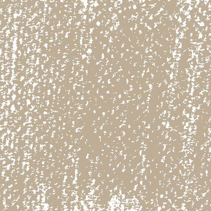 Rembrandt Soft Pastel Raw Umber 408.10
