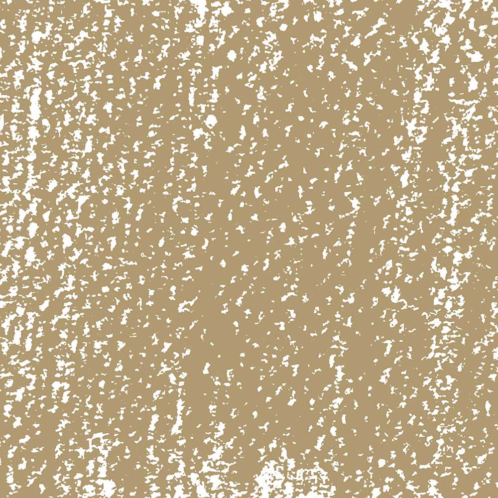 Rembrandt Soft Pastel Raw Umber 408.9