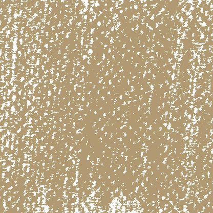 Rembrandt Soft Pastel Raw Umber 408.9