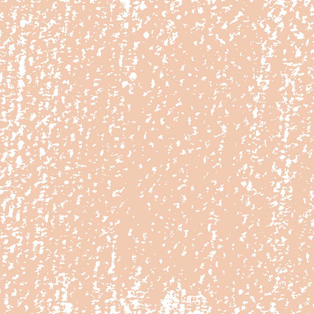 Rembrandt Soft Pastel Burnt Sienna 411.9