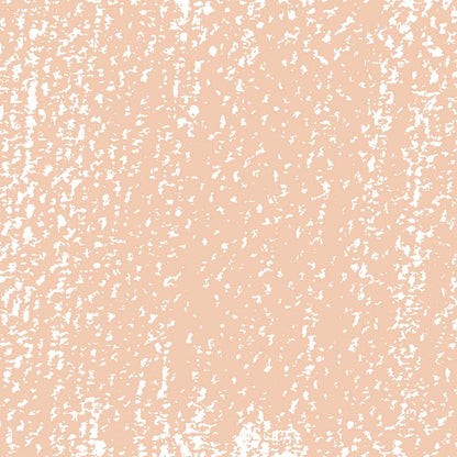 Rembrandt Soft Pastel Burnt Sienna 411.9